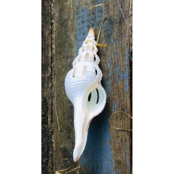 Lot of 5 Handmade Glittered Seashell Christmas Ornaments Angel Murex Clam Coasta - Picture 4 of 11